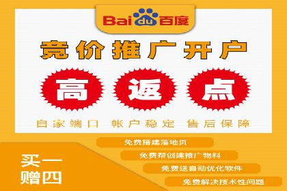 揭秘：成功SEM推广代运营公司案例解析